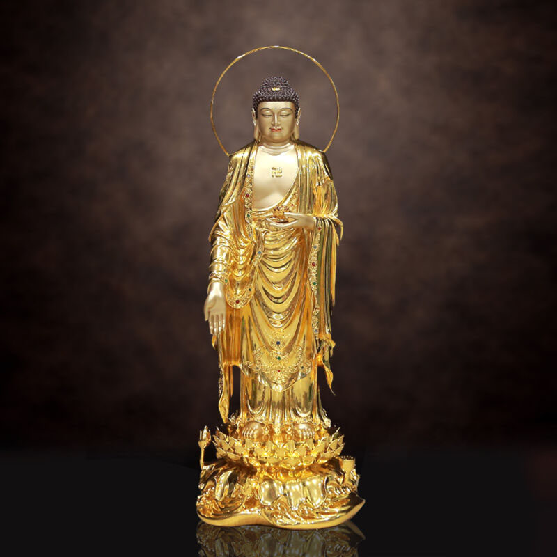 TỊNH ĐỘ 0009855