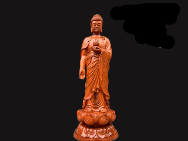 TỊNH ĐỘ TÔNG 6776NHNB55