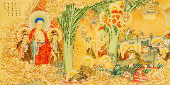 KINH A DI ĐÀ 4353FFVC55