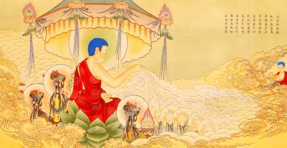 KINH A DI ĐÀ 566FV5588