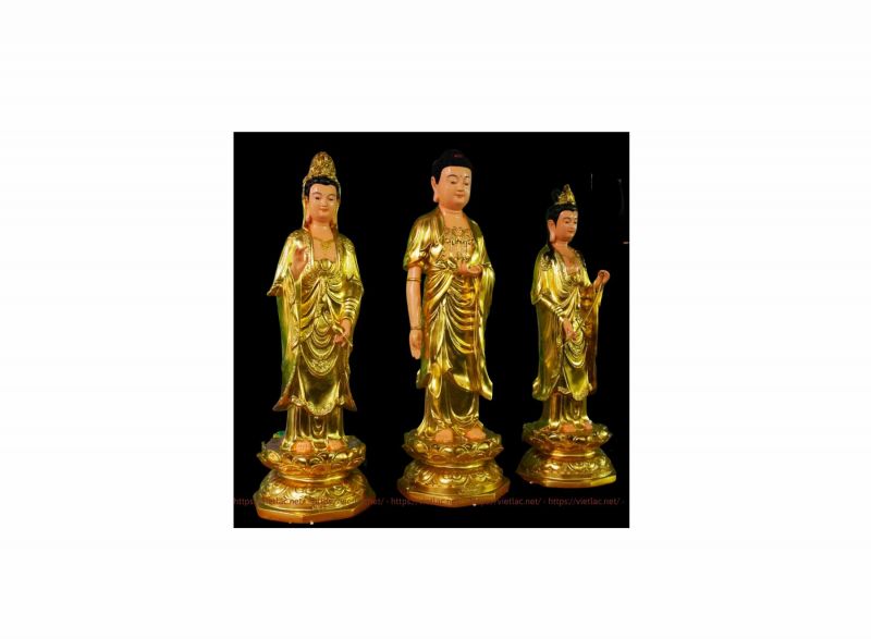 Người Niệm Phật Trước Hết Phải Hiểu Duy&ecirc;n Do Của Ph&aacute;p M&ocirc;n Tịnh Độ Rồi Mới Đọc Khắp C&aacute;c Kinh Luận