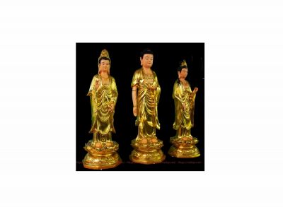 Người Niệm Phật Trước Hết Phải Hiểu Duy&ecirc;n Do Của Ph&aacute;p M&ocirc;n Tịnh Độ Rồi Mới Đọc Khắp C&aacute;c Kinh Luận