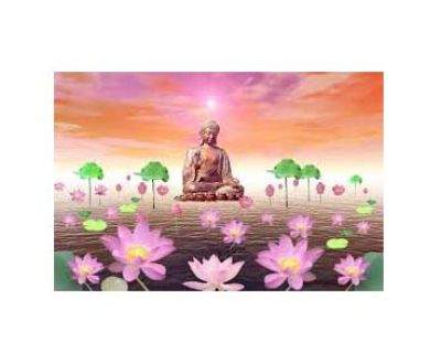 Có Nguyện Ấy Sẽ Chẳng Thể Quyết Định Vãng Sanh Được!