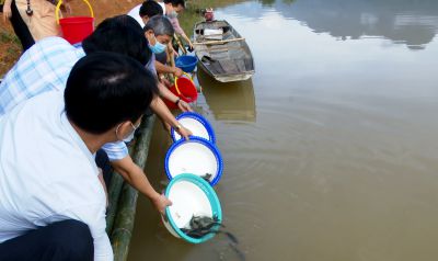 Những Đạo Lý Trong Phóng Sanh